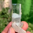 specimen video