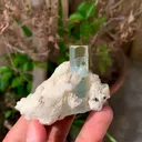 specimen video