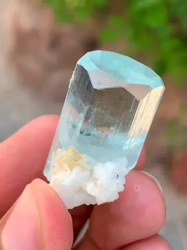 specimen video
