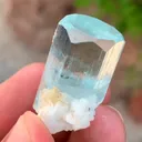 specimen video