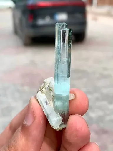 specimen video