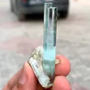 specimen video