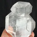 specimen video