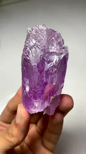 specimen video