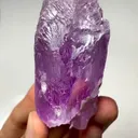 specimen video