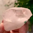 specimen video