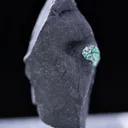 specimen video