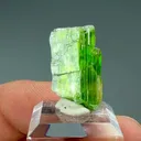 Tremolite from Merelani Hills, Arusha Region, Tanzania - image 2