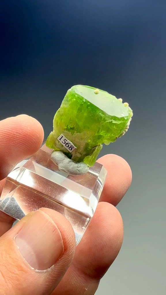 Tremolite from Merelani Hills, Manyara Region, Tanzania - image 2