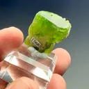 Tremolite from Merelani Hills, Manyara Region, Tanzania - image 2