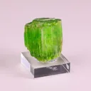 specimen video