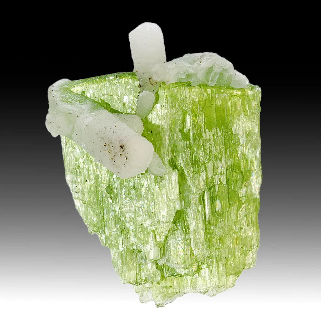 Tremolite with Calcite image