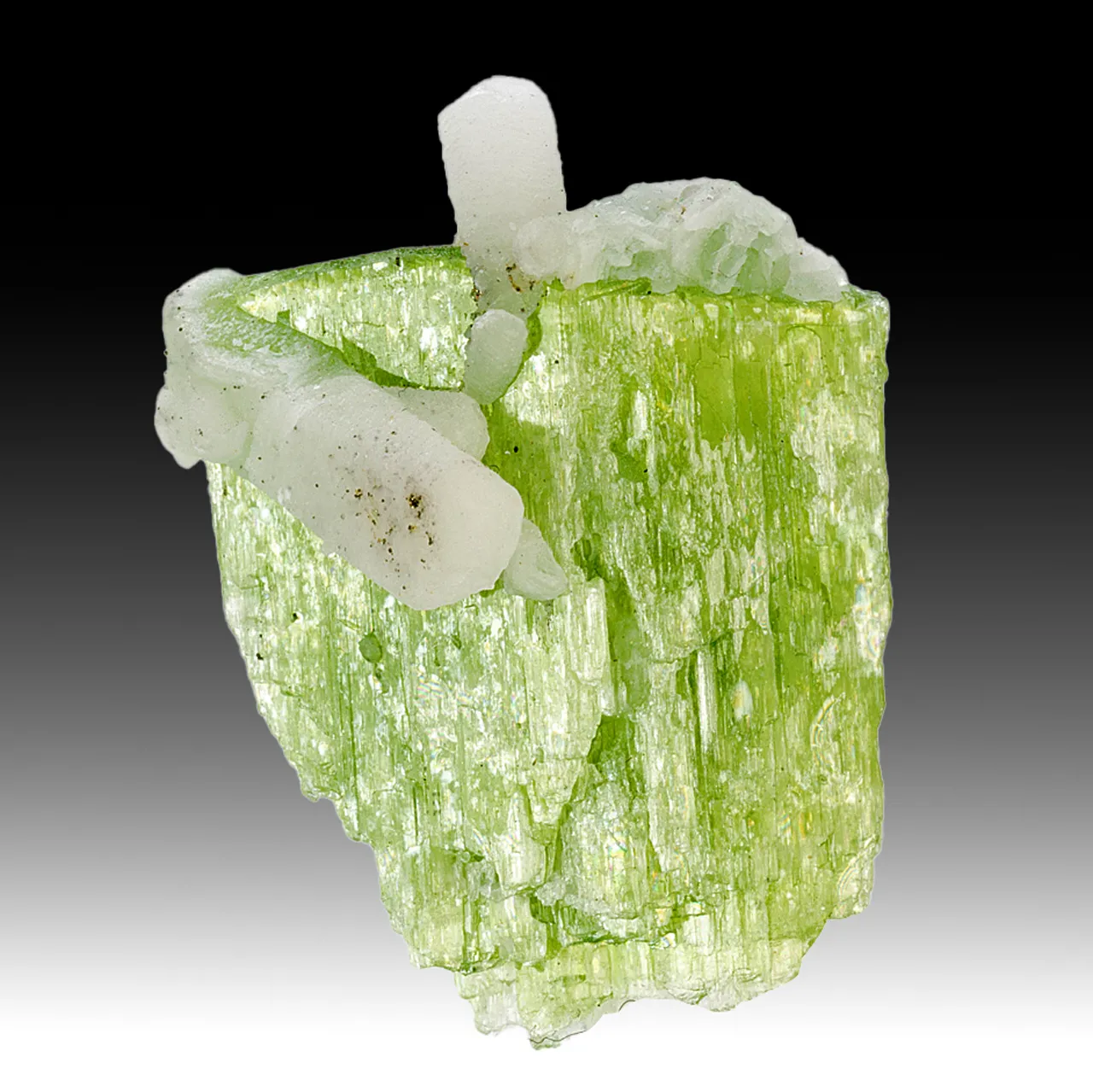 Tremolite with Calcite - image 1