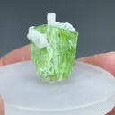 Tremolite with Calcite - image 2