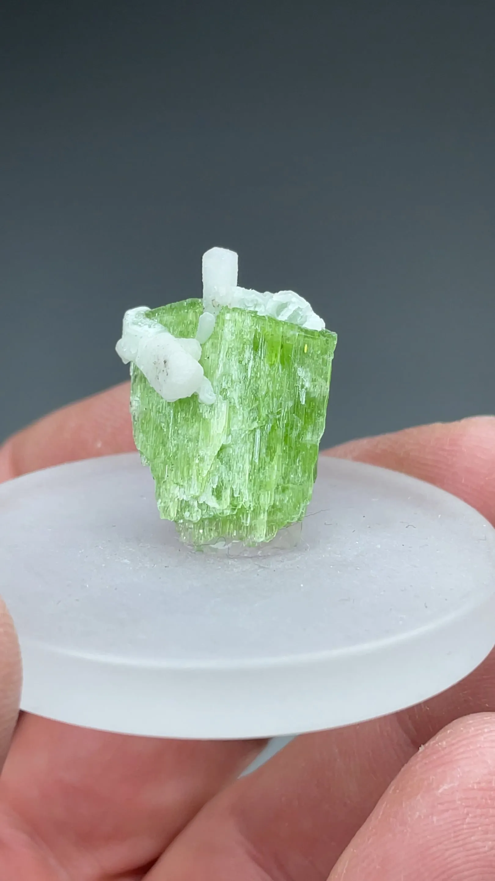 Tremolite with Calcite - image 2