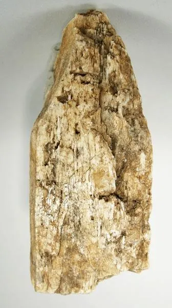 Tremolite, Wollastonite image