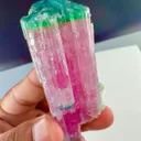 Tri color candy Tourmaline from Afghanistan - image 3