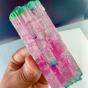 Tri color candy Tourmaline from Afghanistan - image 4