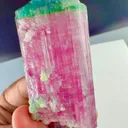 Tri color candy Tourmaline from Afghanistan - image 5