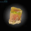 Tri-color Tourmaline Crystal - image 1
