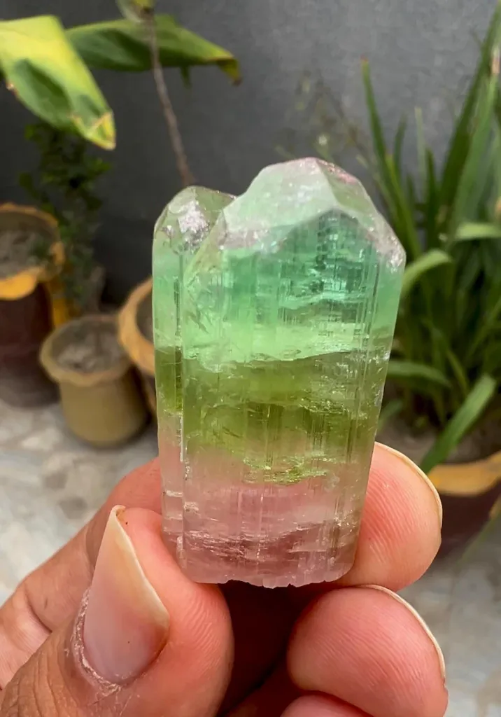 Tri Color Tourmaline Crystal from Afghanistan - image 7