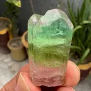 Tri Color Tourmaline Crystal from Afghanistan - image 7