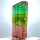specimen video