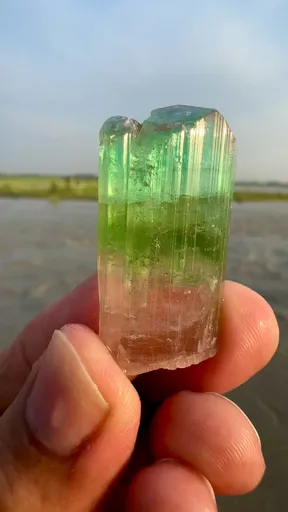 specimen video