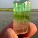 specimen video
