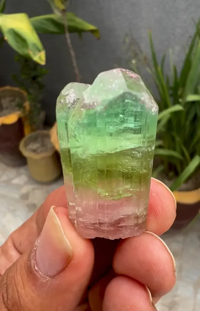 Tri Color Tourmaline Crystal from Afghanistan - image 5