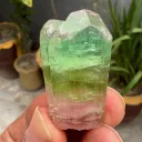 Tri Color Tourmaline Crystal from Afghanistan - image 5