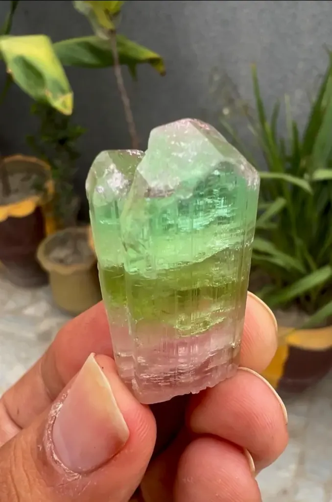Tri Color Tourmaline Crystal from Afghanistan - image 3