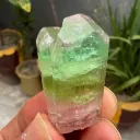 Tri Color Tourmaline Crystal from Afghanistan - image 3