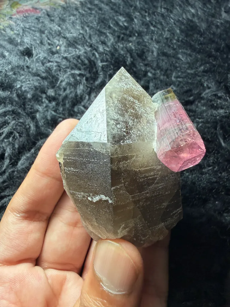 Tri colour Tourmaline with Smoky quartz from Afghanistan - image 7