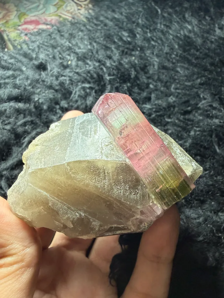 Tri colour Tourmaline with Smoky quartz from Afghanistan image