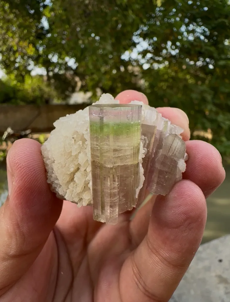 Tri-Coloured Tourmaline on Albite image