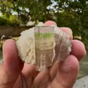 Tri-Coloured Tourmaline on Albite - image 2