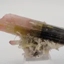 Tricolor Elbaite - image 4