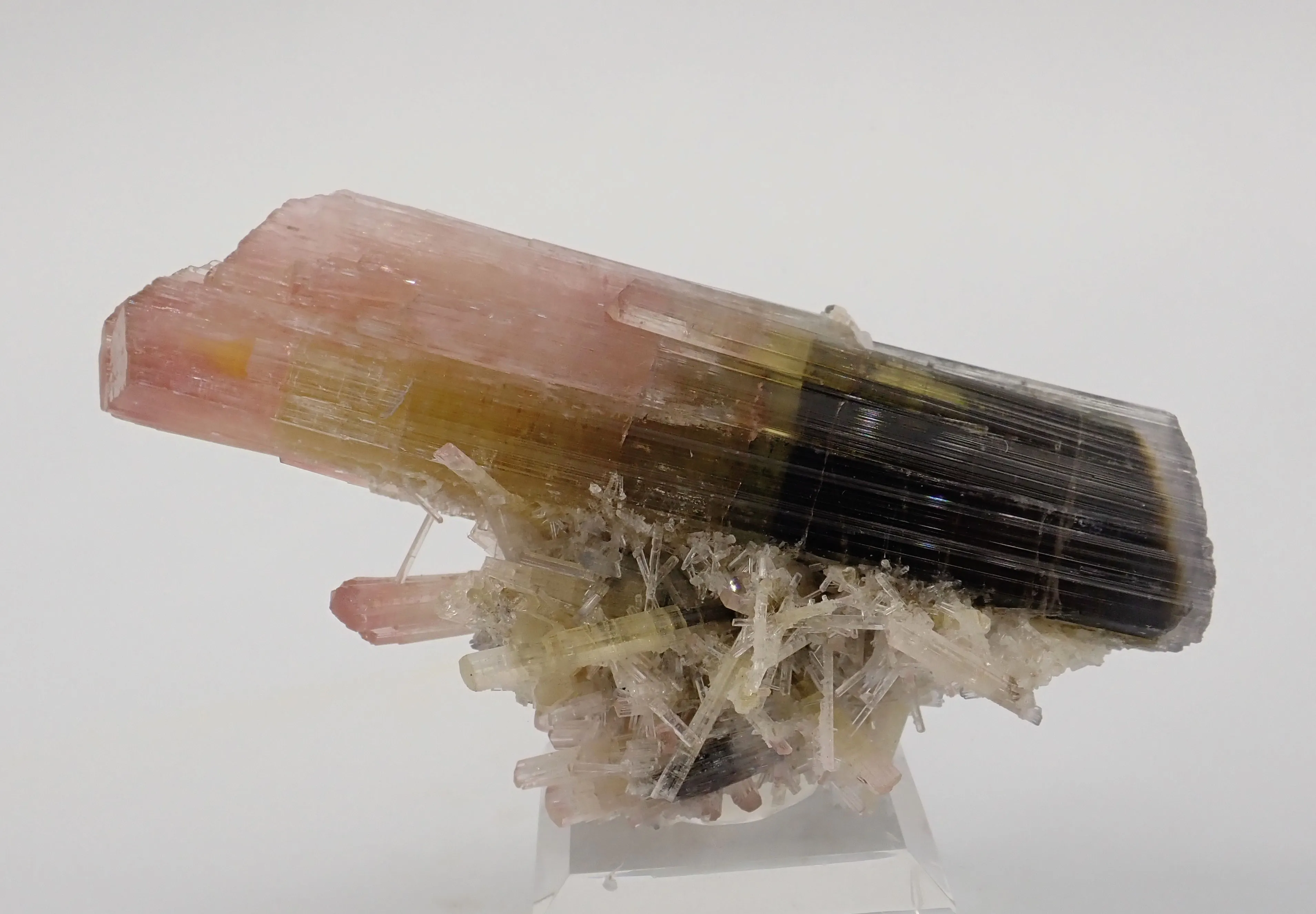Tricolor Elbaite - image 4