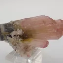 Tricolor Elbaite - image 8
