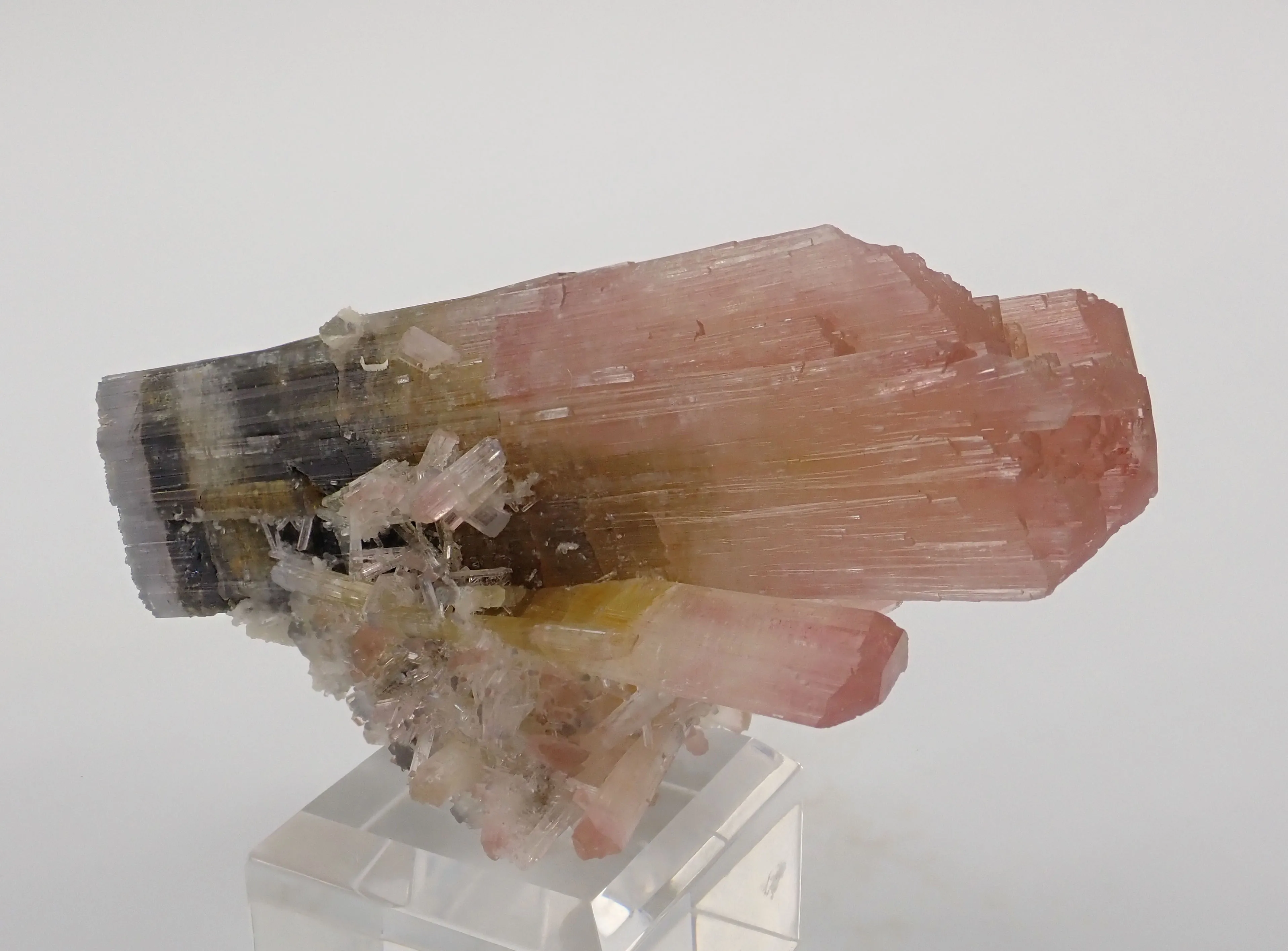 Tricolor Elbaite - image 8