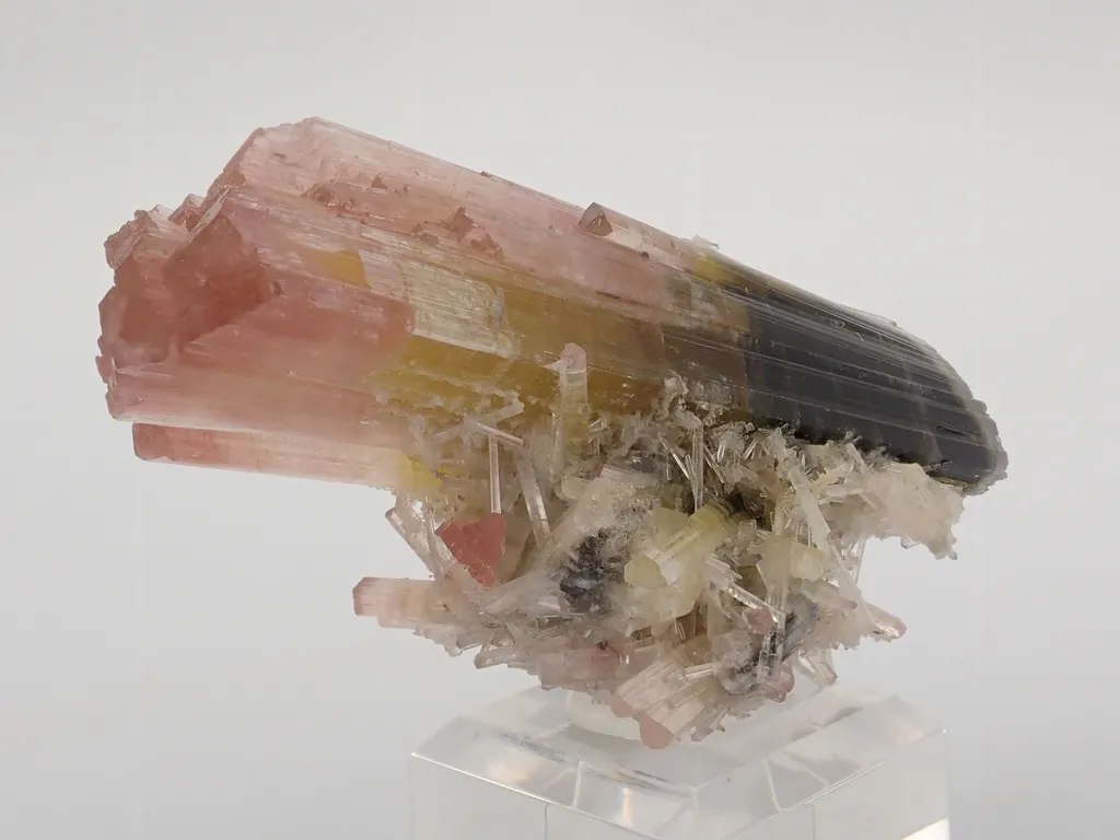 Tricolor Elbaite - image 7