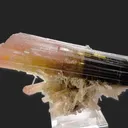 Tricolor Elbaite - image 2