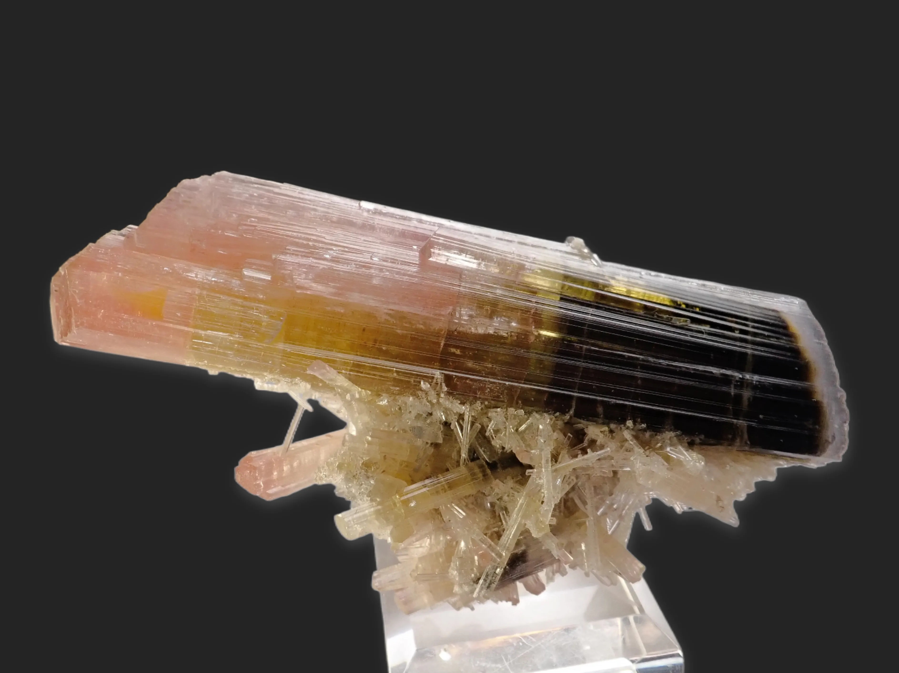 Tricolor Elbaite - image 2