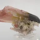 Tricolor Elbaite - image 7