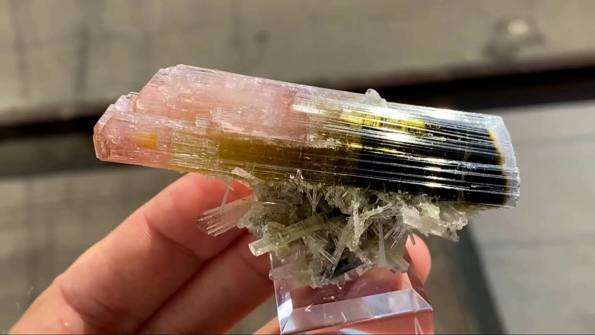 Tricolor Elbaite - image 9