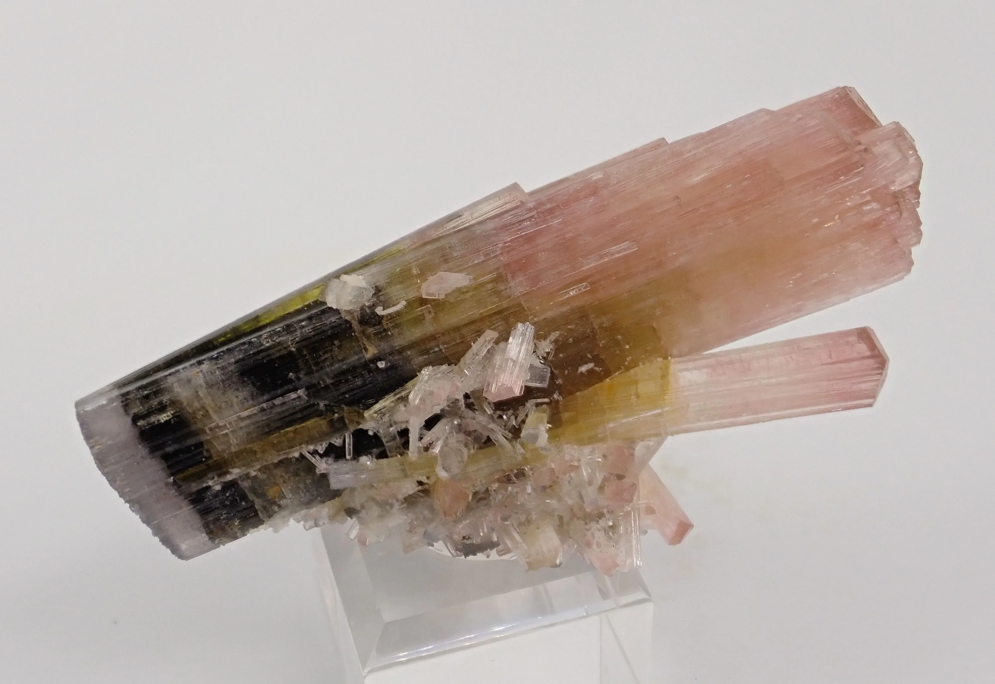 Tricolor Elbaite - image 3