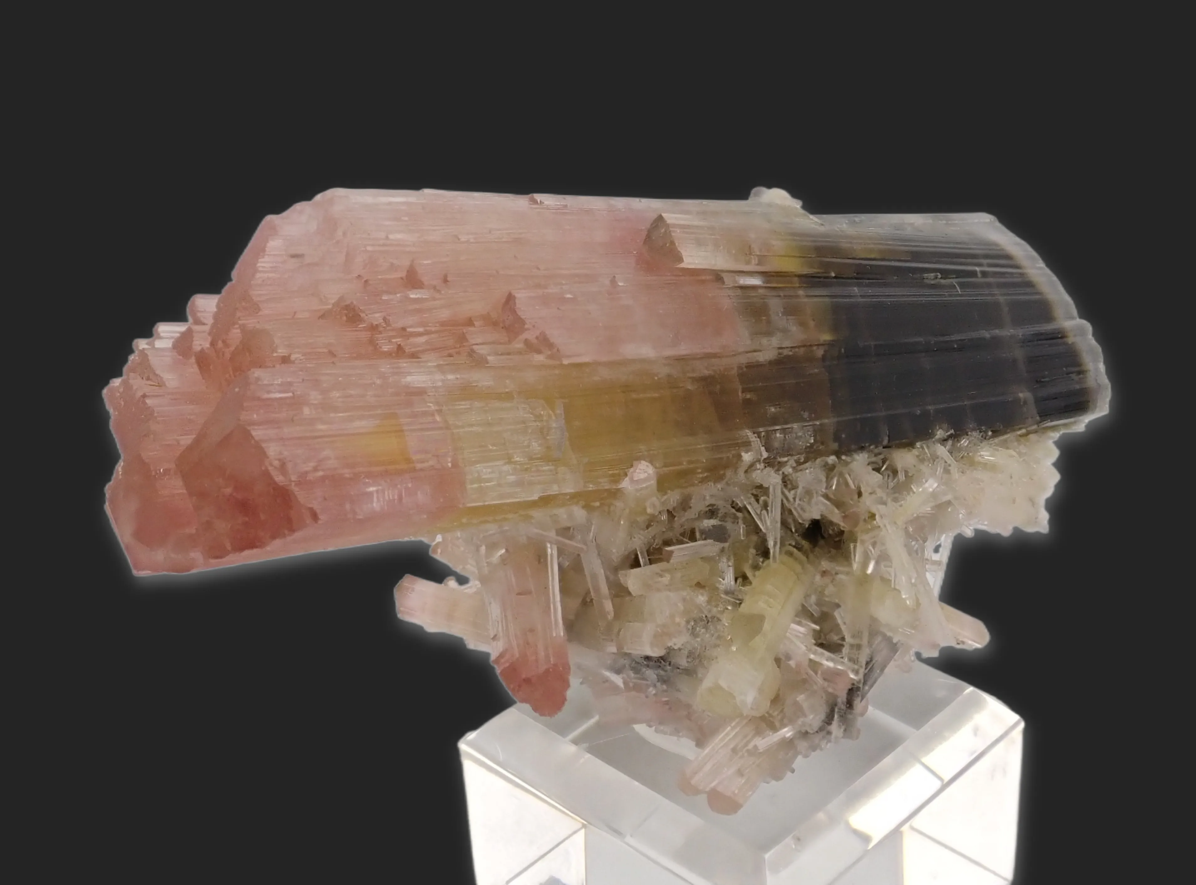 Tricolor Elbaite - image 5