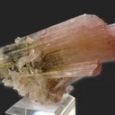 Tricolor Elbaite - image 6