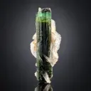 Tricolor Tourmaline on Cleavelandite Albite from Pakistan - image 1